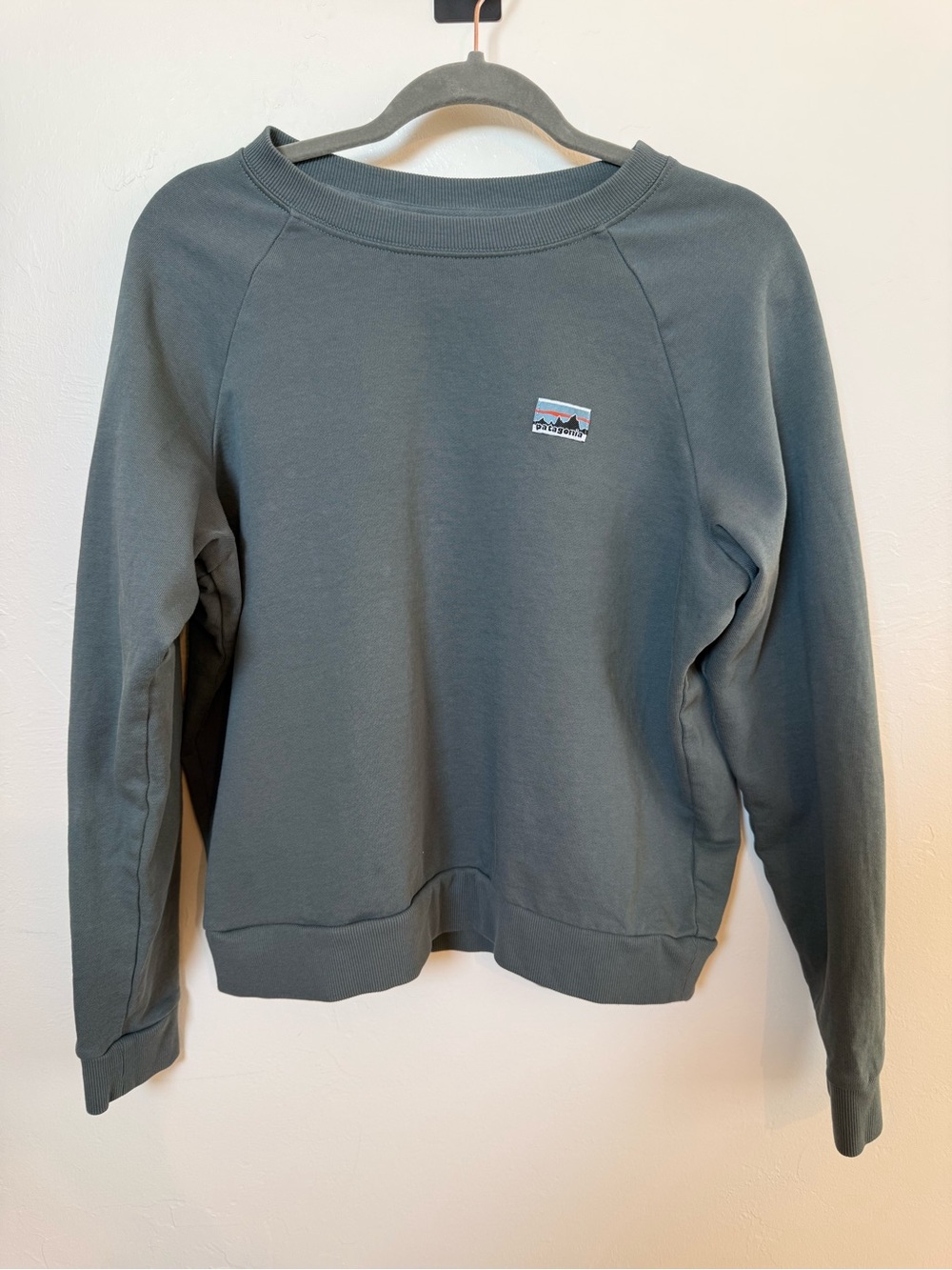 Patagonia Crewneck Sweatshirt in Light Beige
